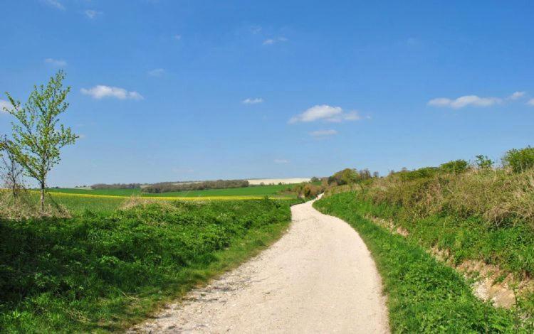 The Run, West Lavant Чичестър Екстериор снимка